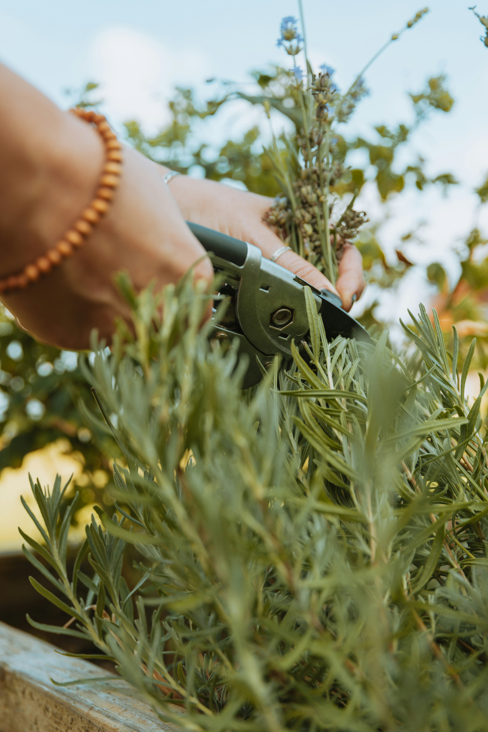 Gardening is a passion project that is good for a mother's mental and physical health